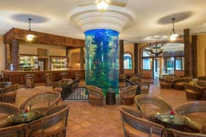 Acuario Bar - Iberostar Selection Paraiso Lindo - 5 Star All-Inclusive Resort, Riviera Maya, Mexico